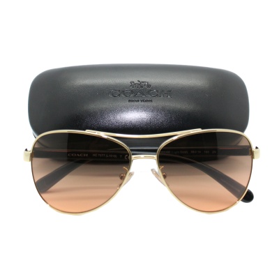 coach-horse-and-carriage-pilot-light-gold-aviator-frame-eyewear-sunglasses-l1015-1