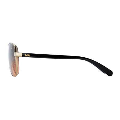coach-horse-and-carriage-pilot-light-gold-aviator-frame-eyewear-sunglasses-l1015-4_992943733
